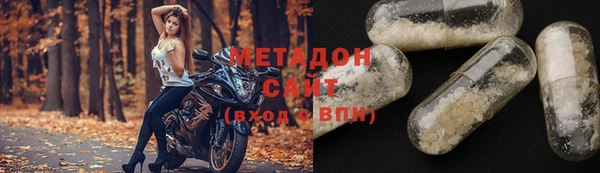 прущие грибы Алзамай