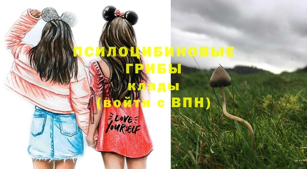 прущая мука Алексеевка