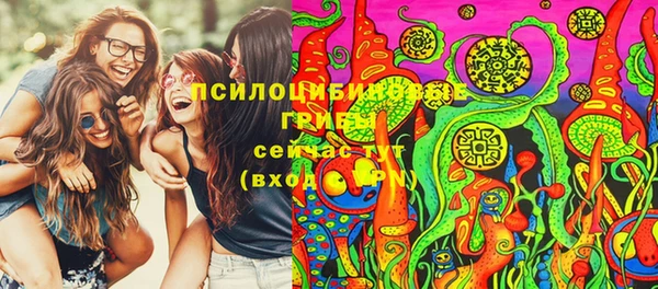 прущие грибы Алзамай